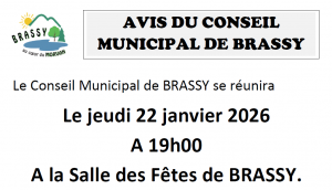 Avis Conseil Municipal Brassy