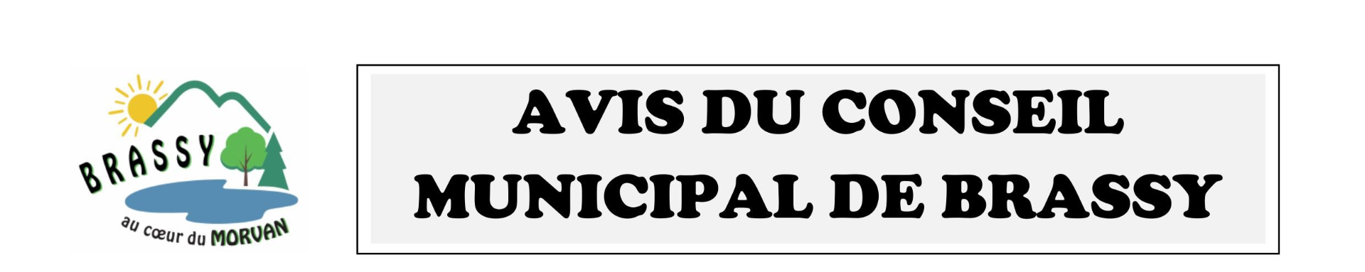 AVIS CONSEIL MUNICIPAL