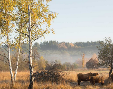 Prairies de Montour