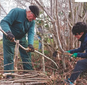 Le Mois de la Plèchie